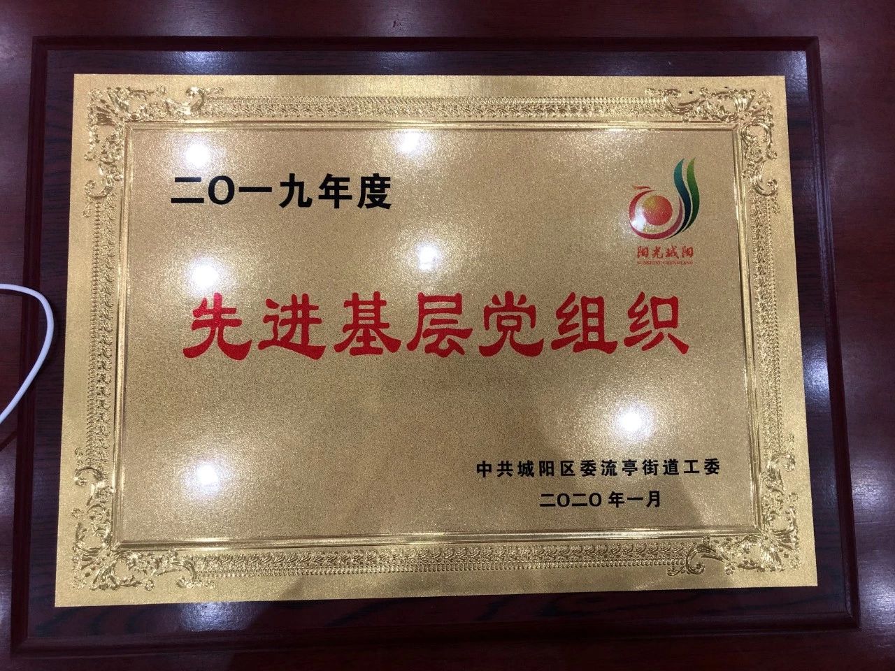 山東綠天使投資集團(tuán)黨支部連續(xù)三年蟬聯(lián)“先進(jìn)基層黨組織”榮譽(yù)稱號(hào)