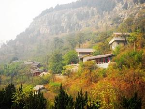 棗莊市